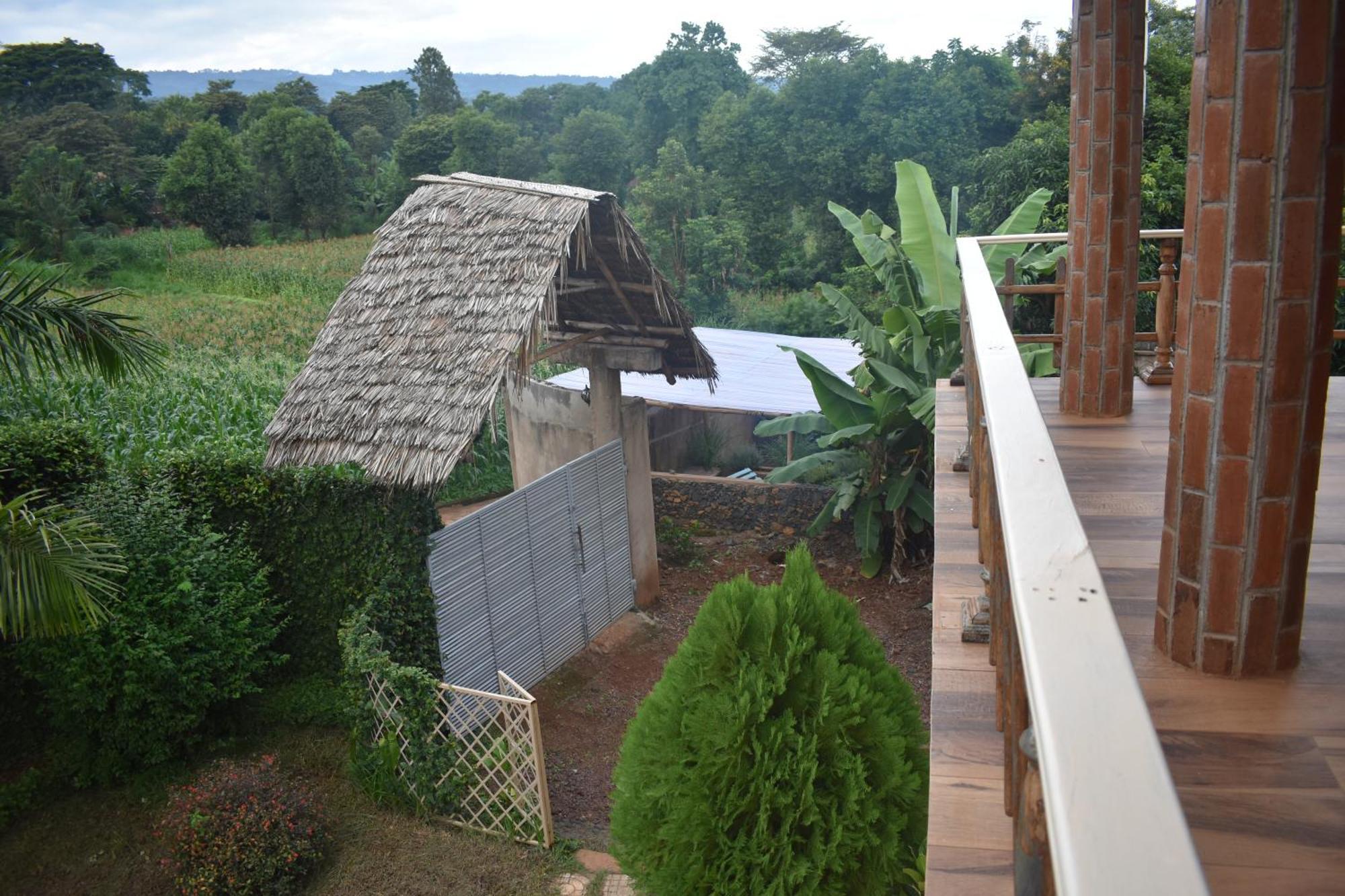 Kilimanjaro Accommodation Msaranga Exteriér fotografie