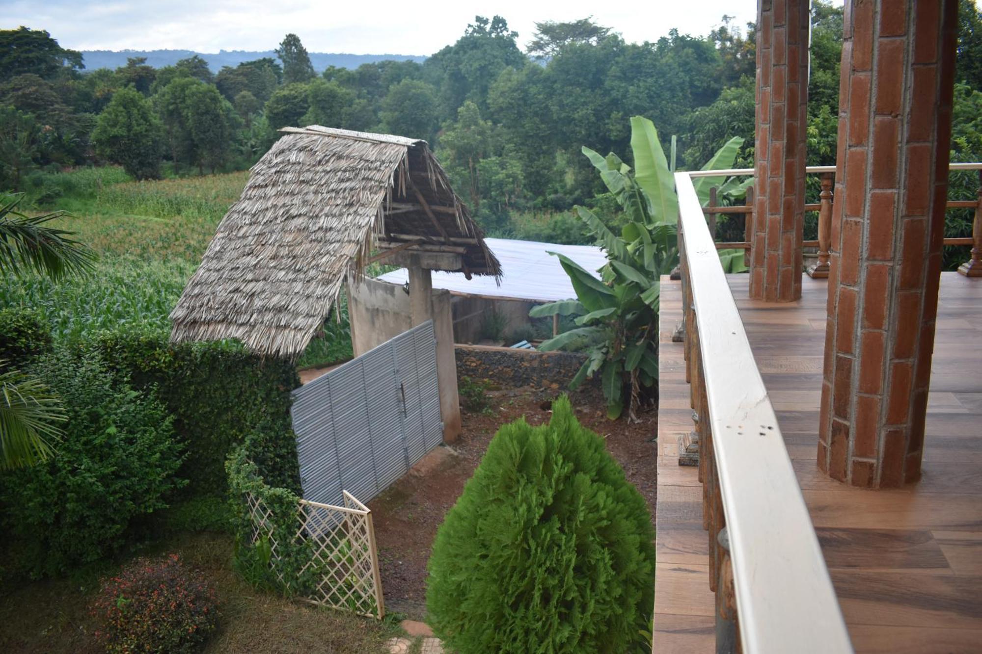 Kilimanjaro Accommodation Msaranga Exteriér fotografie