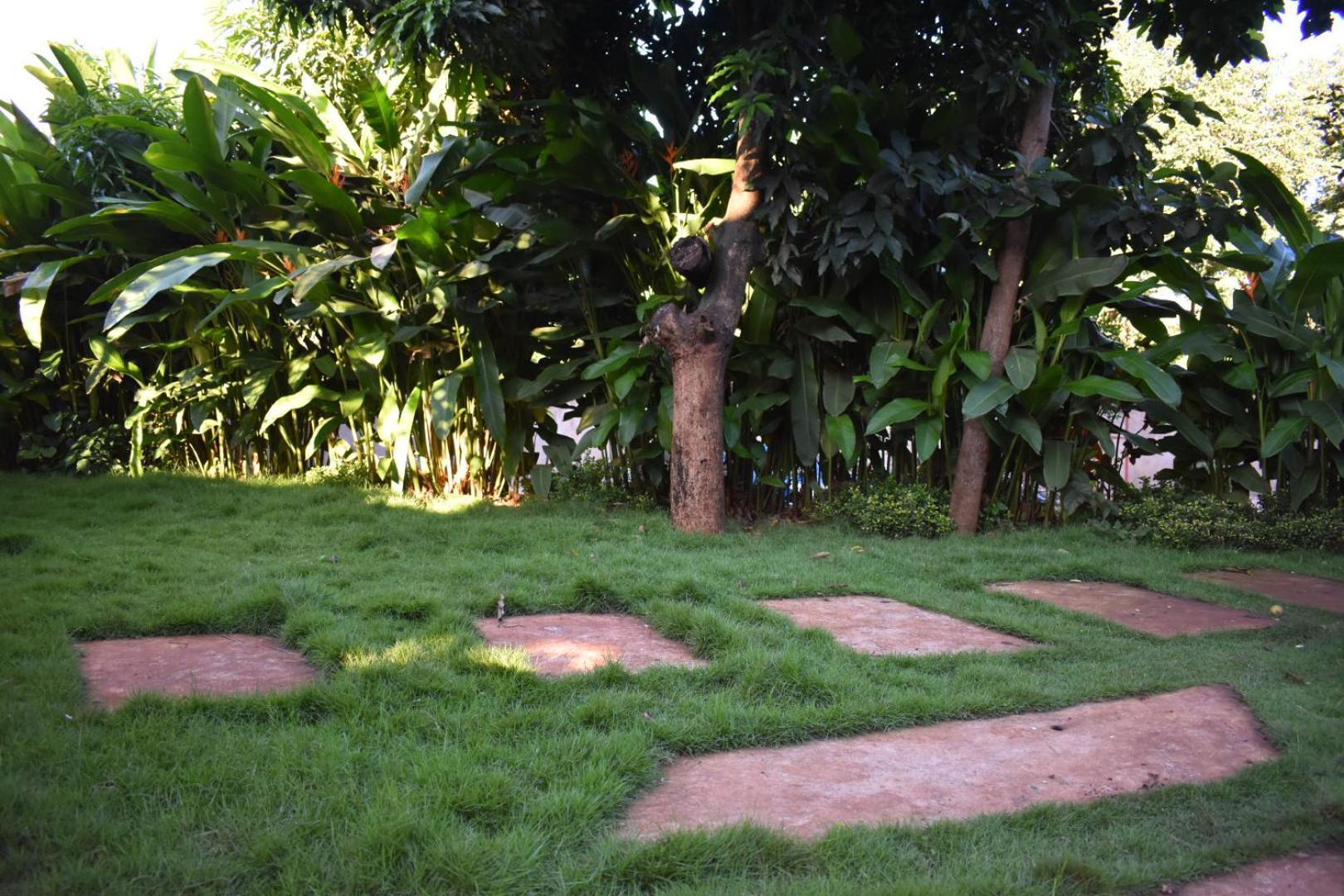 Kilimanjaro Accommodation Msaranga Exteriér fotografie